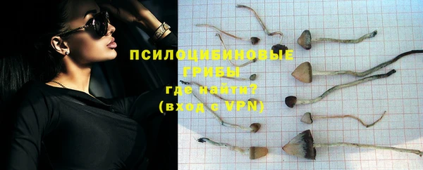 индика Козловка