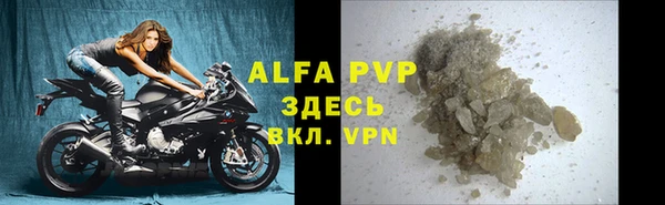 индика Козловка