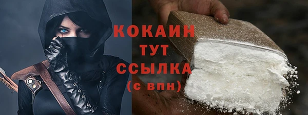 крисы Кодинск