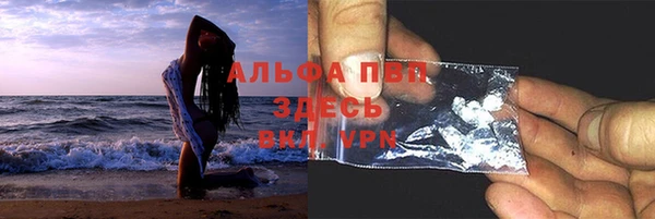 индика Козловка
