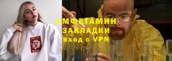 индика Козловка