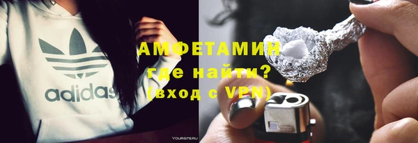 индика Козловка