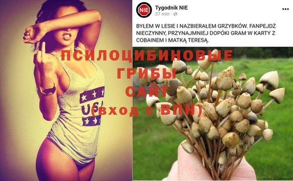 индика Козловка