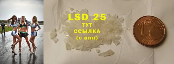 крисы Кодинск
