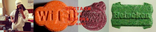 крисы Кодинск