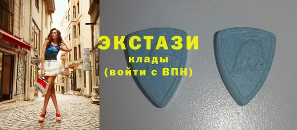 индика Козловка