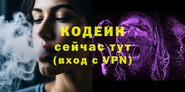 крисы Кодинск
