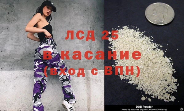 индика Козловка