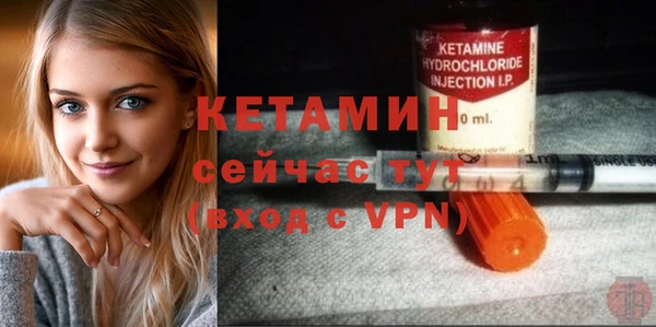 крисы Кодинск