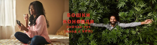 индика Козловка
