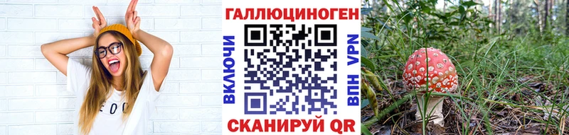 Галлюциногенные грибы MAGIC MUSHROOMS  что такое   Евпатория 