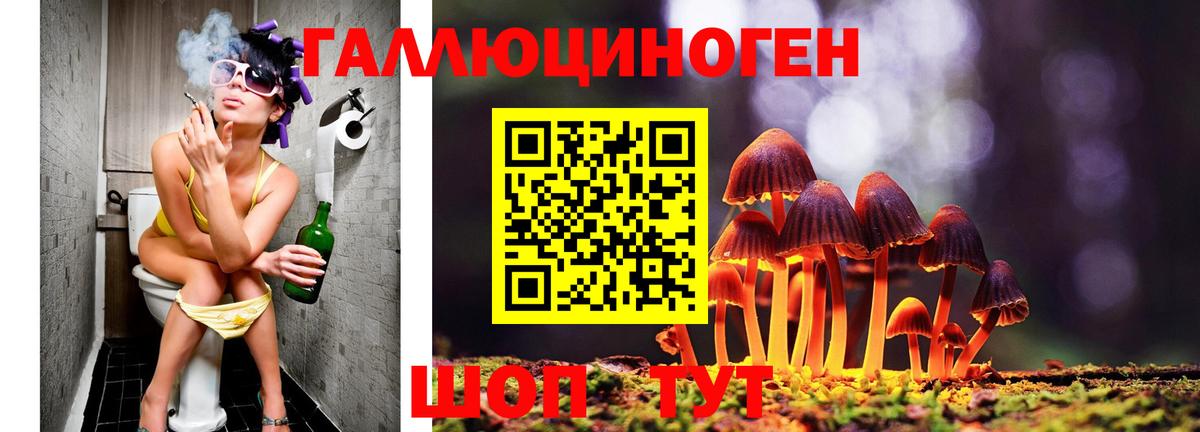 Евпатория  Галлюциногенные грибы MAGIC MUSHROOMS  Вход с VPN  Псилоцибиновые грибы GOLDEN TEACHER 