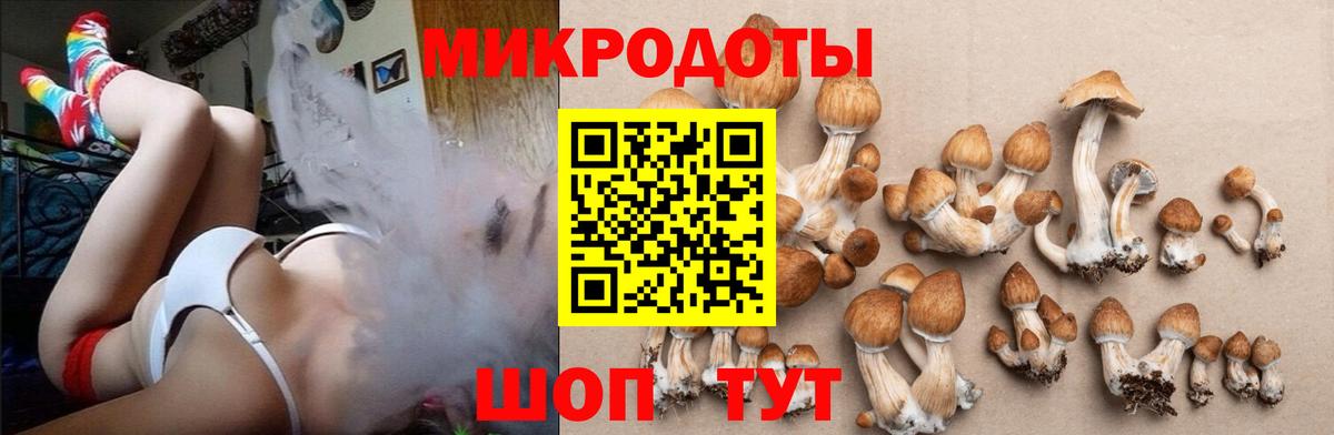Псилоцибиновые грибы MAGIC MUSHROOMS Евпатория